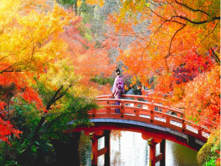 Osaka - Kyoto - Tokyo: Cung đường vàng đẹp nhất khi du lịch Nhật Bản mùa thu